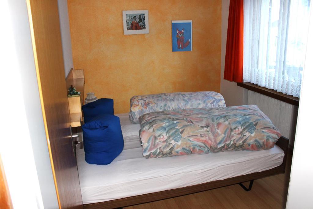 Casa Collina Apartment Disentis Cameră foto