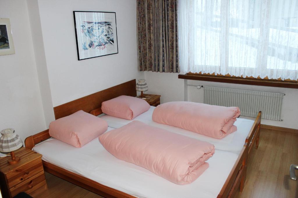 Casa Collina Apartment Disentis Cameră foto